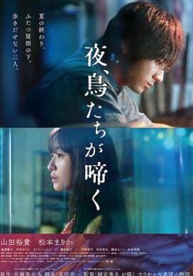 ҹ������