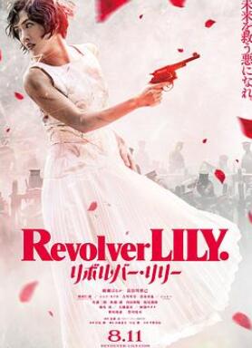 ������ǹ����