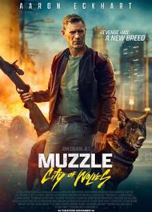 ��̽��Ȯ2����֮��